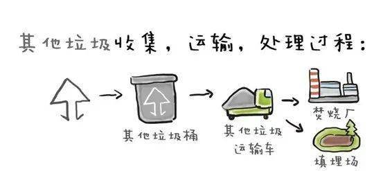 環保小衛士寄來一封 二 9 中隊開展世界環境日活動