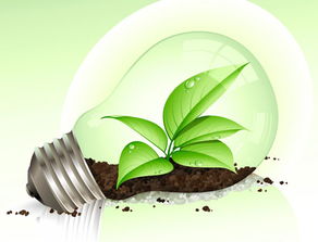 合創(chuàng)產(chǎn)業(yè) 行業(yè)資訊 推廣種植生物質能源林 保障生物質發(fā)電燃料